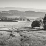 Zákonné predkupné právo v podielovom spoluvlastníctve